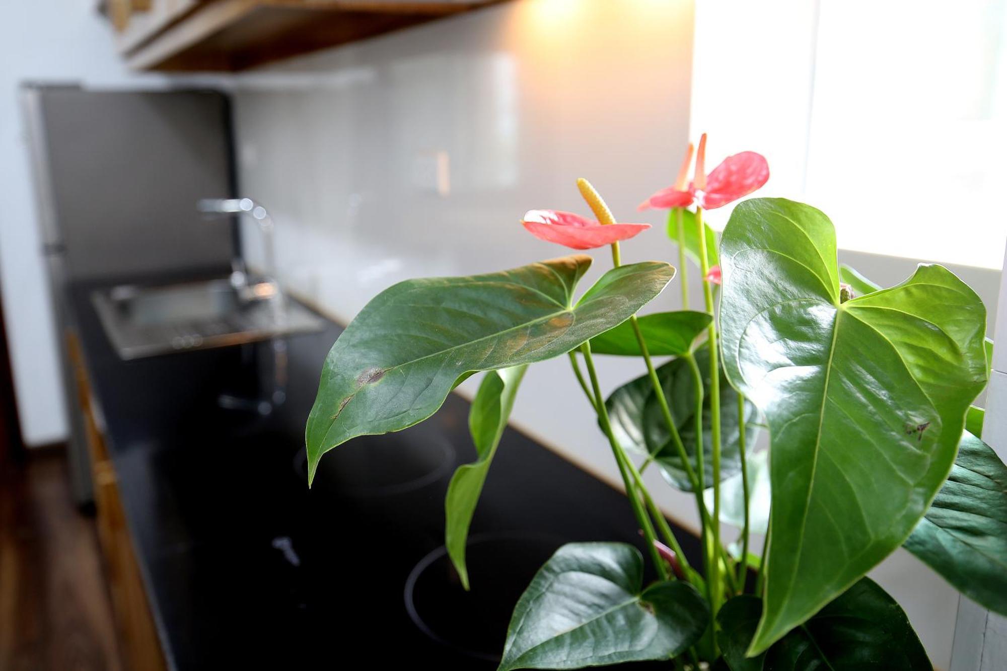 Apartment Sumitomo 3 For Japanese At 535 Kim Ma